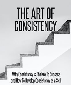 Art of Consistency Ebook and Videos MRR