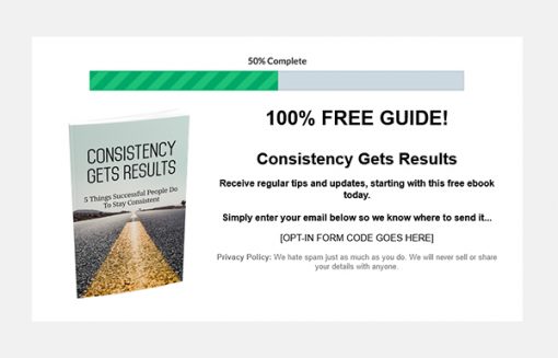 Art of Consistency Ebook and Videos MRR