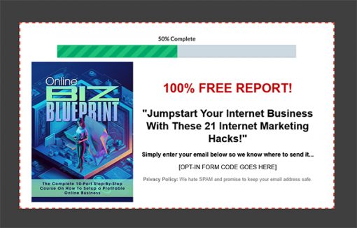 Online Business Blueprint Ebook and Videos MRR