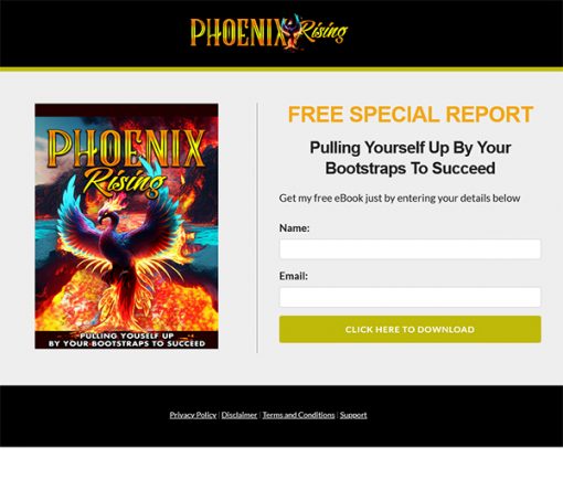 Phoenix Rising Success Ebook and Videos MRR