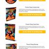 Phoenix Rising Success Ebook and Videos MRR
