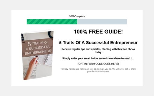 Savvy Entrepreneur Ebook and Videos MRR Optin