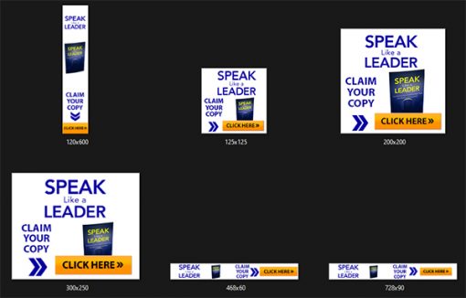 Speak Like a Leader Ebook and Videos MRR