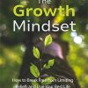 The Growth Mindset Ebook and Videos MRR