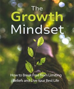 The Growth Mindset Ebook and Videos MRR