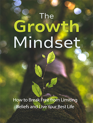 The Growth Mindset Ebook and Videos MRR