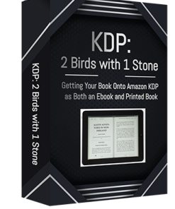 Amazon KDP 2 Birds 1 Stone Video MRR Package