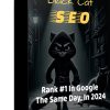 Black Cat SEO PLR Ecourse and Videos