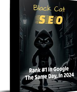 Black Cat SEO PLR Ecourse and Videos