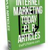 Internet Marketing Today PLR Articles