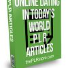 Online Dating in Today's World PLR Articles