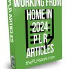 Working from Home in 2024 PLR Articles