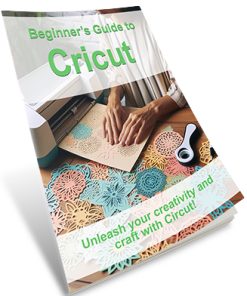 Beginner's Guide to Cricut PLR Report