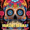 Enchanting Sugar Skulls PLR Coloring Ebook
