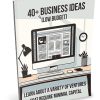 40 plus Business Ideas on a Budget PLR Report
