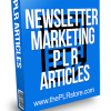 Newsletter Marketing PLR Articles