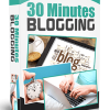 30 Minutes Blogging MRR Videos