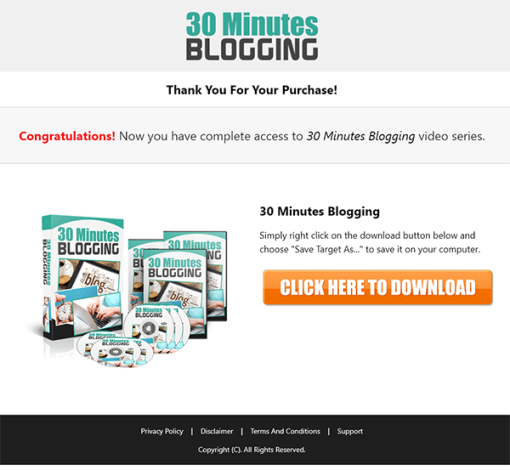 30 Minutes Blogging MRR Videos TY