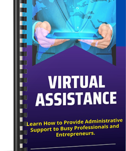 Virtual Assistance Side Hustle PLR Report
