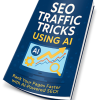 SEO Traffic Tricks Using AI PLR Report