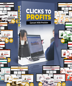 Clicks to Profits PLR Reports Package