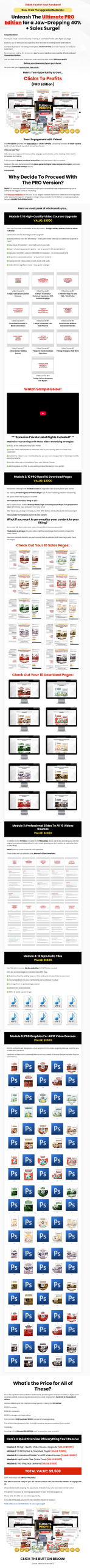 Clicks to Profits PLR Reports Package Upsell