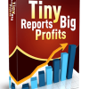 Tiny Reports Big Profits MRR Videos