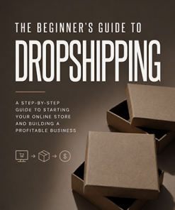 Beginner's Guide to Dropshipping Ebook PLR