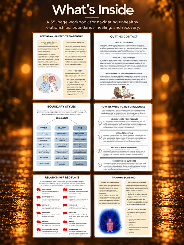 Unhealthy Relationship Navigation Workbook PLR What's Inside